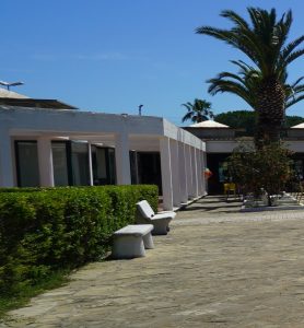 DSC01347